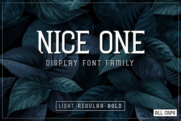Nice One: A Modern Display Font for Business Branding
